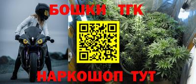 гидра Краснознаменск