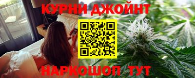 гидра Краснознаменск